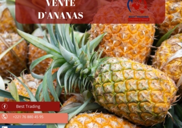 VENTE D’ANANAS