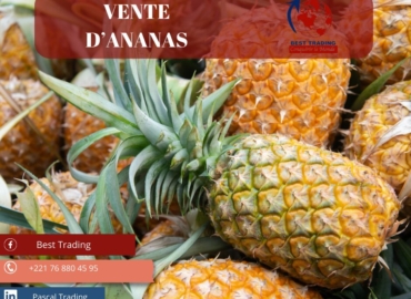 VENTE D’ANANAS