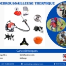 VENTE DE DEBROUSSAILLEUSE THERMIQUE