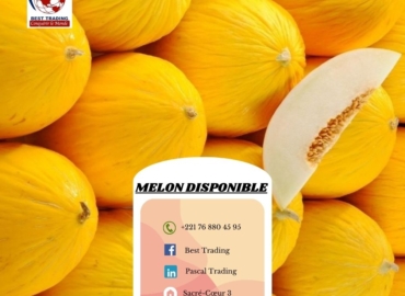 VENTE DE MELON