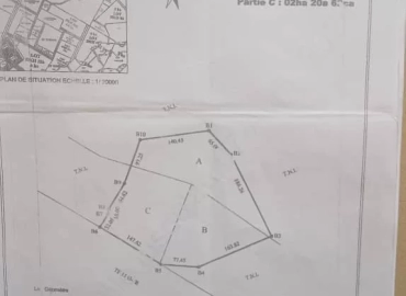 MARIE IMMO : terrain à vendre Yene
