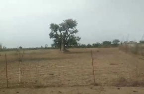 MARIE IMMO : terrain à Mbour