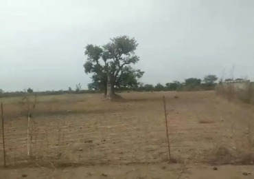 MARIE IMMO : terrain à Mbour