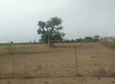 MARIE IMMO : terrain à Mbour