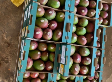 MARIE IMMO : Ferme à vendre