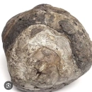 Pierres précieuses à vendre