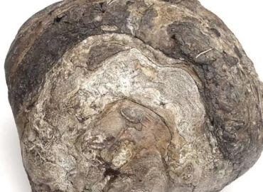 Pierres précieuses à vendre