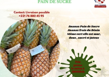 VENTE  D’ANANAS