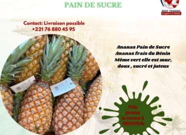 VENTE  D’ANANAS