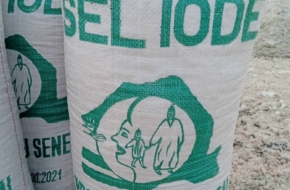 VENTE DE SEL IODE